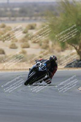 media/May-14-2023-SoCal Trackdays (Sun) [[024eb53b40]]/Turn 5 Tree of Life (1125am)/